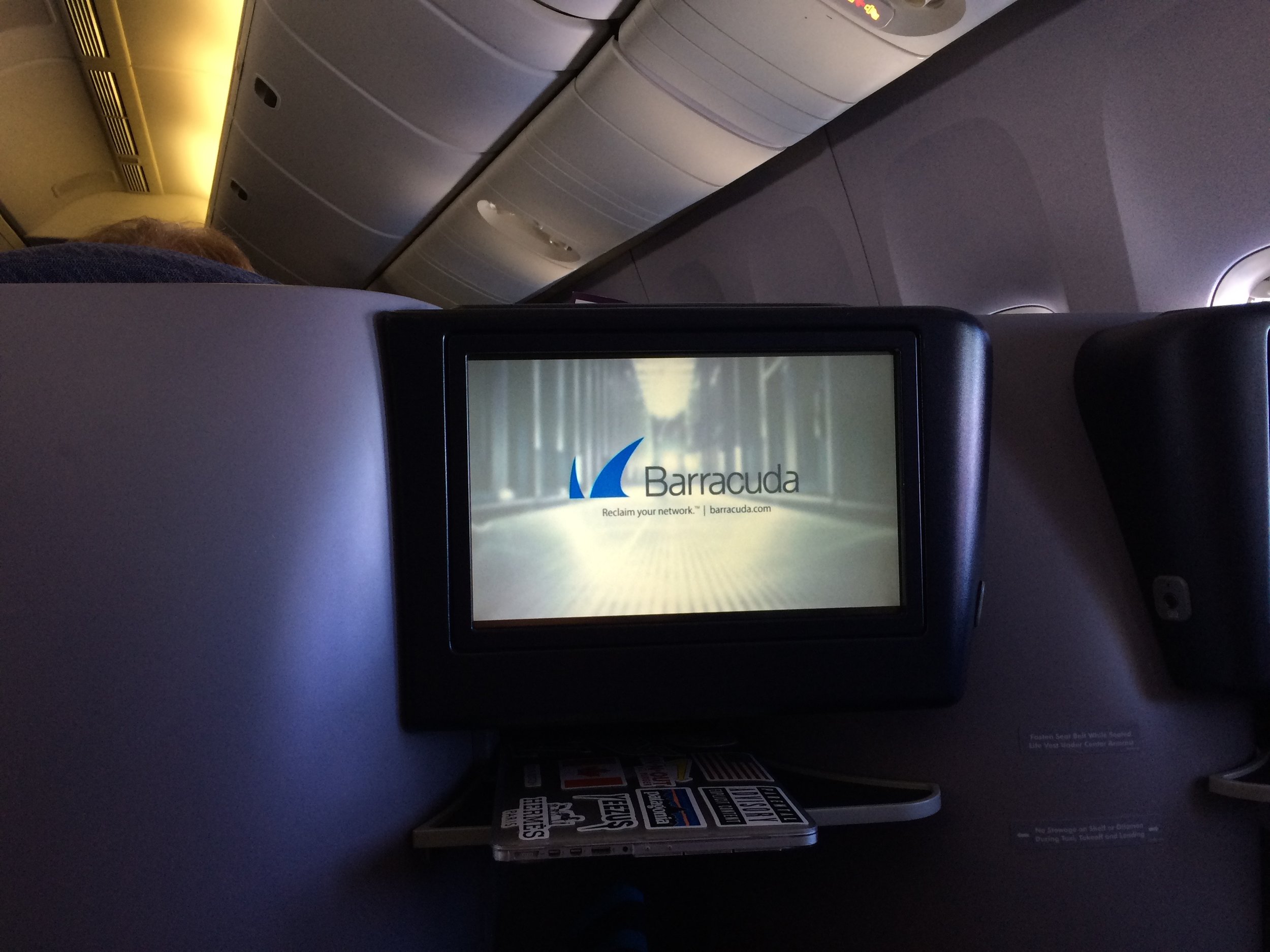 In-Flight Advertisements